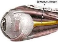 H53 Расстройства зрения