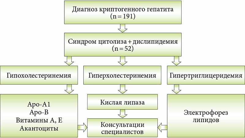 Криптогенный гепатит и дислипидемия
