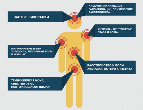 Опасность вирусного гепатита