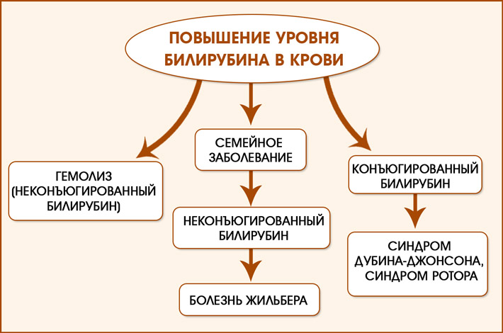 Если уровень билирубина в крови повышен