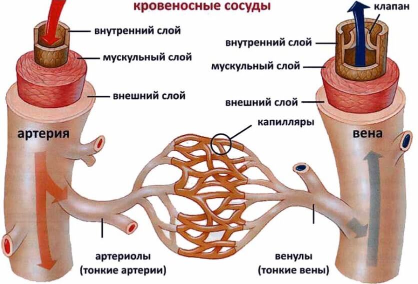 6786