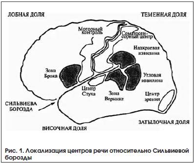 Рис. 1. Локализация центров речи относительно Сильвиевой борозды Рис. 1. Локализация центров речи относительно Сильвиевой борозды
