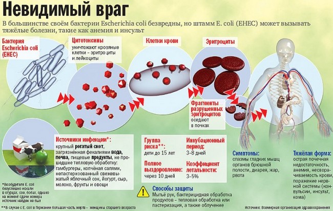 Детские кишечные инфекции Детские кишечные инфекции