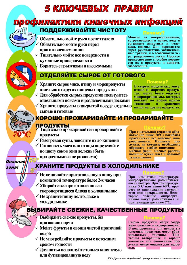 Профилактика кишечных инфекций Профилактика кишечных инфекций